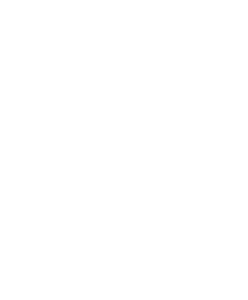 المحتوى المحلي